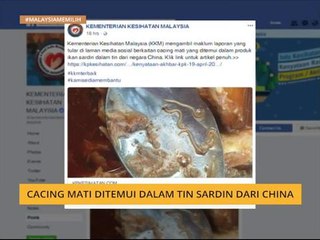 Cacing mati ditemui dalam tin sardin dari China