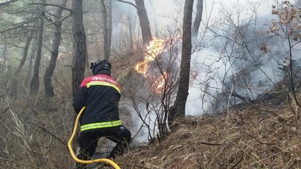 경북 문경·강원 인제 단비가 대형 산불 막았다 / YTN