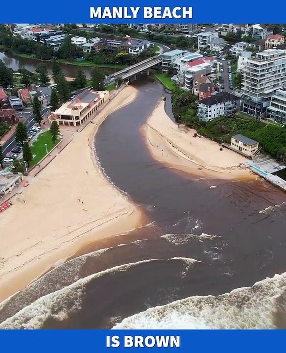 Water pollution at Queenscliff | February 2022 | Northern Beaches Review