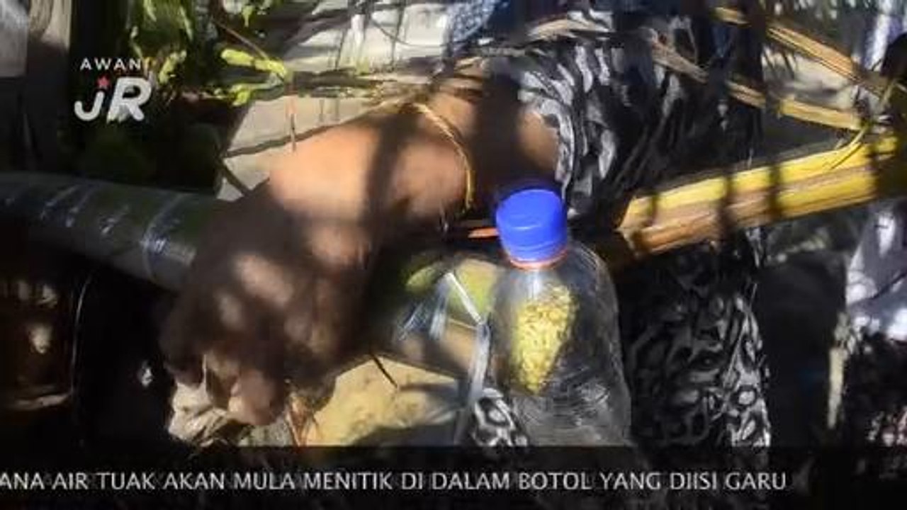 #AWANIJr: Tuak halal?