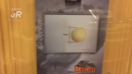 #AWANIJr: Lindungi Penyu Belimbing