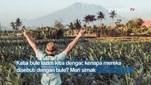 Kenapa Orang Indonesia Memanggil Orang Asing Bule?