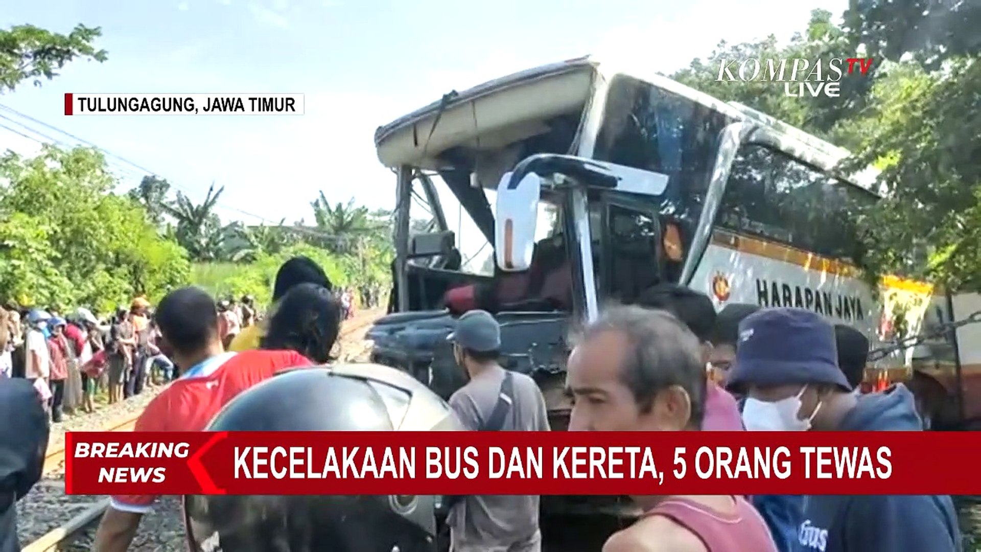 Kecelakaan bus harapan jaya hari ini