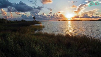 Ngỗng Canada - Loài Vật Không Biết Sợ, Đánh Đuổi Đại, Bàng Tấn Công Cả Người