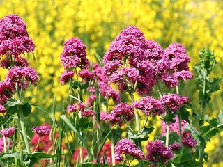 Bien au-delà de nos peurs