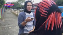 Penduduk Sri Serdang mahu kawalan ketat polis