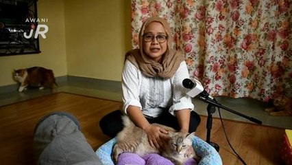 #AWANIJr: Nasib Kucing Jalanan (Bhg 1)