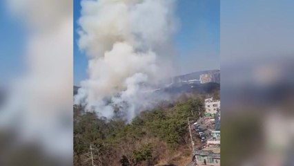 울산 동구 야산에서 불...헬기 4대 투입 / YTN