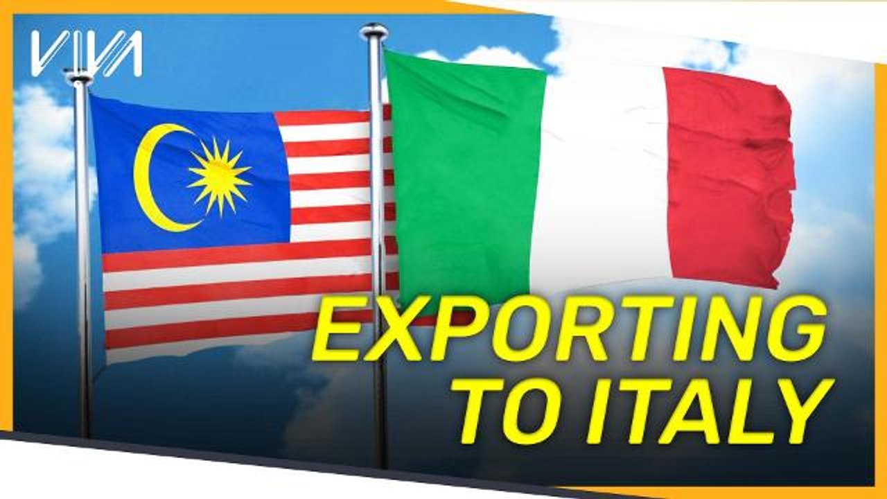 V!VA: : Exporting to Italy?