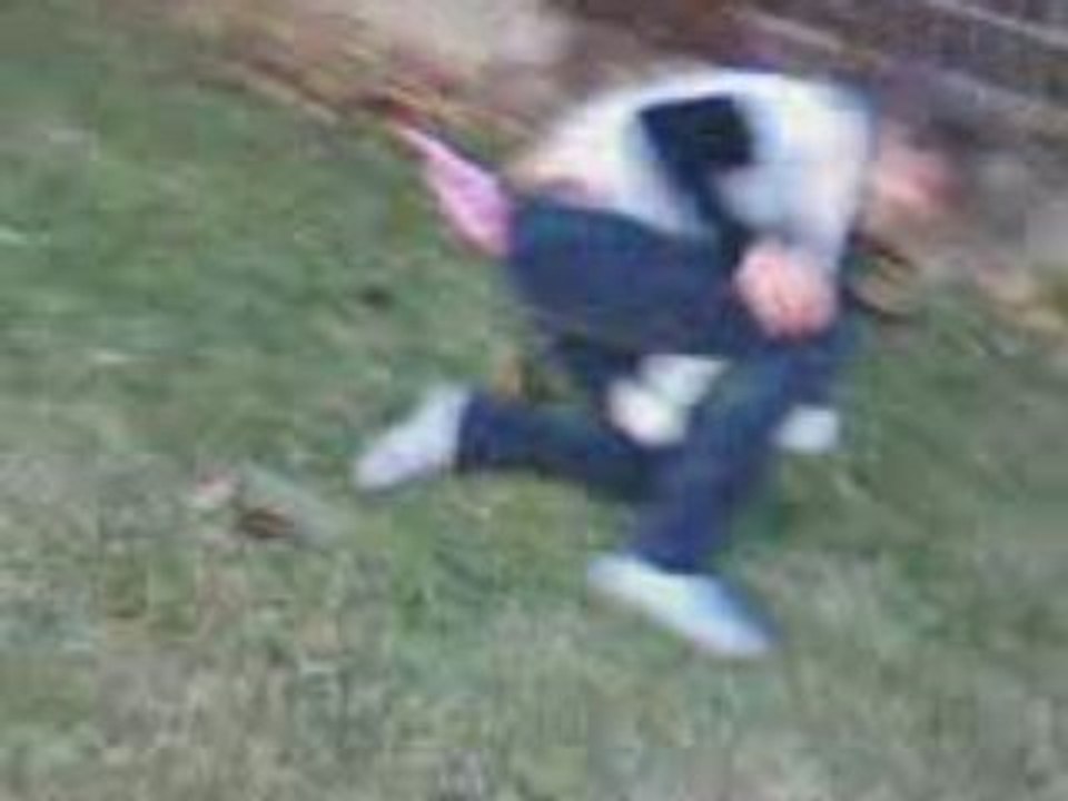 Le dogy rugby