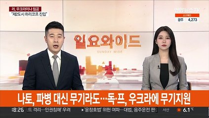 나토, 파병 못하니 무기라도…독·프, 우크라에 무기지원