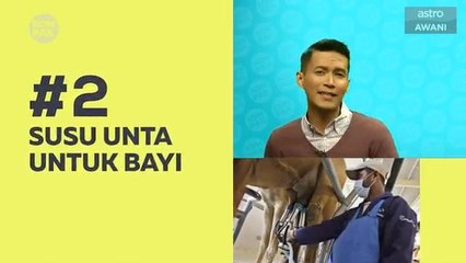 Kompak (Episod 314): Susu unta untuk bayi