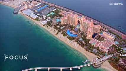 Des restaurants de Dubaï rendent les coquilles d'huîtres à la mer