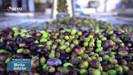 Marka Şehirler 27 Şubat 2022