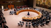 Ukraine calls for Russia to lose UN Security Council seat over invasion