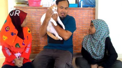 #AwaniJr: Kisah miau si kaki tiga