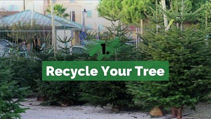 Eco-Friendly Ways to Getting Rid of Your Christmas Tree