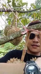 Wisata alam kebun durian warso farm bogor