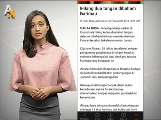 Guru dibenar guna telefon bimbit untuk PdPc & Hilang dua tangan dibaham harimau