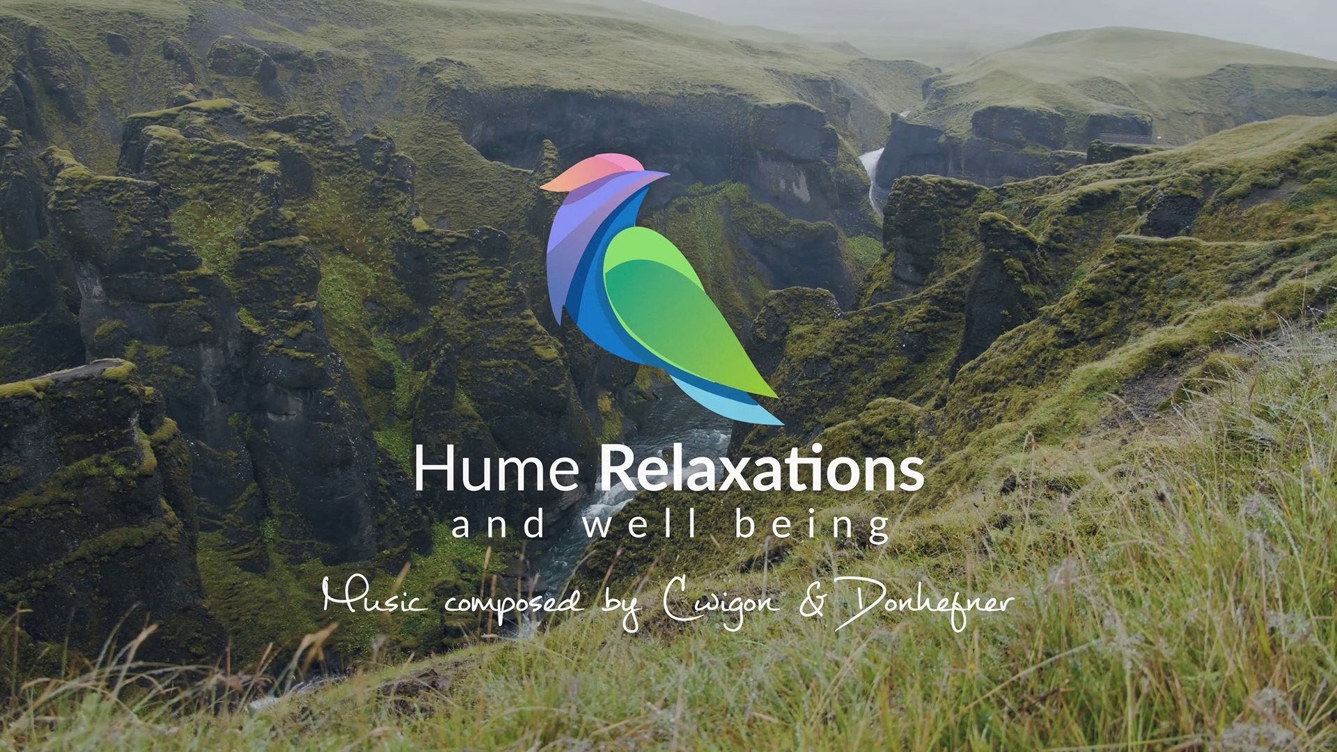 ⁣Watherfall Tranquility • True Nature Sounds and Remedy of Birds Sing • Original Soundtrack by Hume