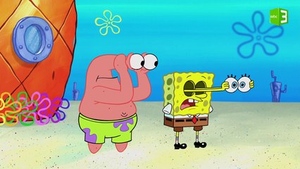 سبونج بوب وبسيط يتابعان هجرة المحار الكبيرة