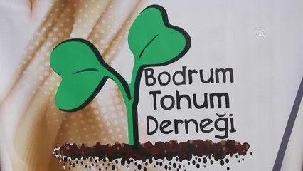 Bodrum'da tohum takas şenliği düzenlendi