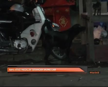 Rayu atasi masalah serangan anjing liar