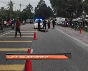 Elak kucing polis bantuan maut dilanggar
