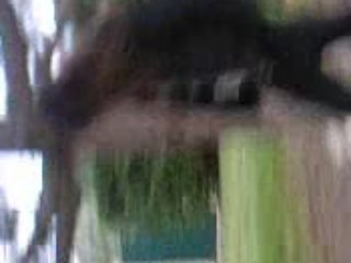 Après Midi Mars 2008