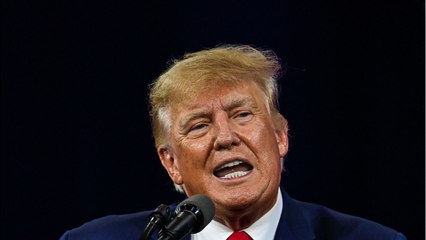 GALA VIDEO - “Bien sûr qu'il est intelligent !” : Donald Trump se lâche et encense Vladimir Poutine