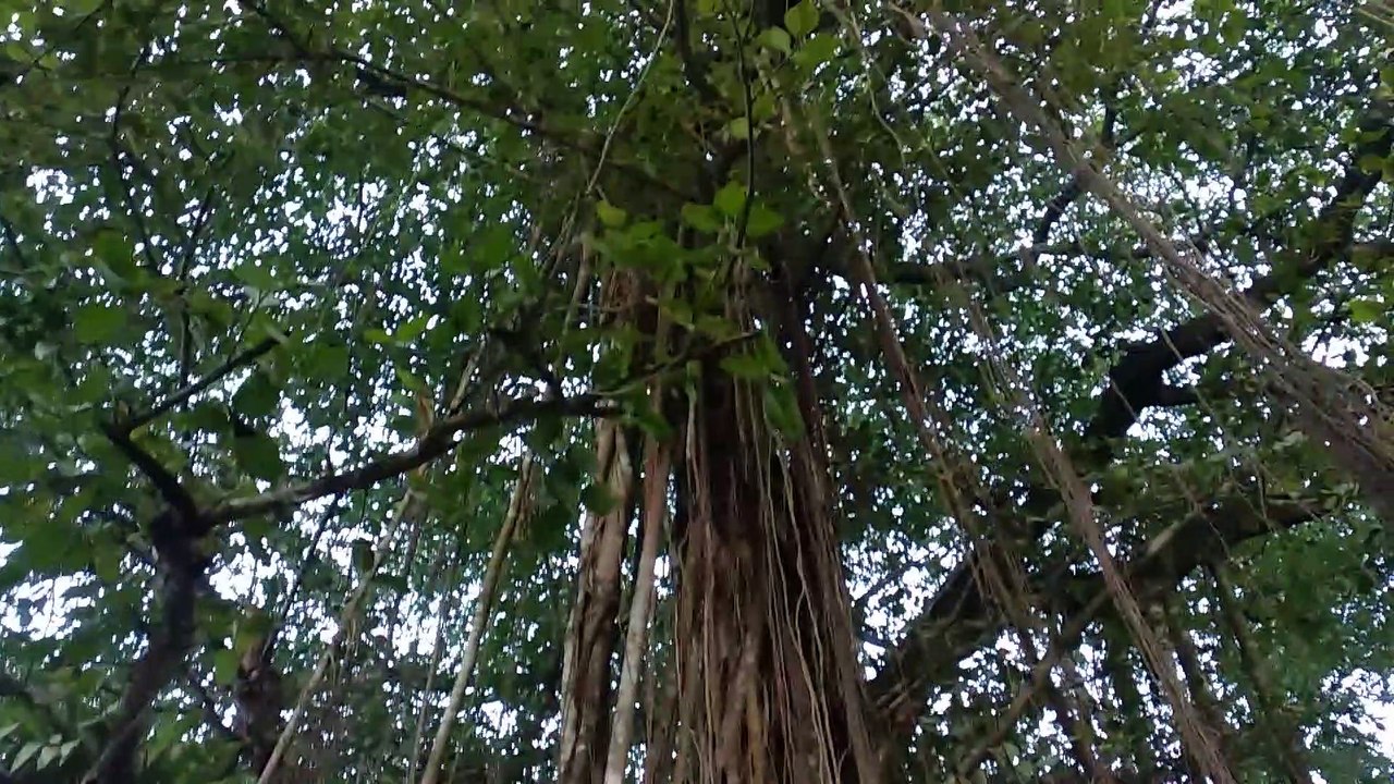 debi chaudhurini Mandir (1)