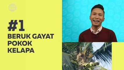 Kompak (Episod 247): Beruk pun gayat!