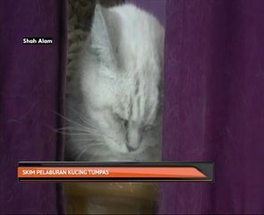 Skim pelaburan kucing tumpas