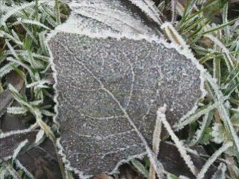 004-andryes 15 dec 2007 fait le 8 mars 2008