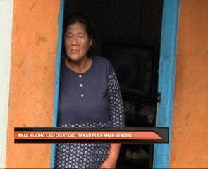 Anak kucing lagi disayang, inikan anak sendiri