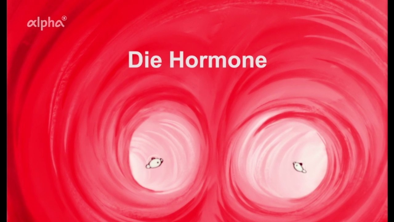 Es war einmal ... das Leben - 23. Die Hormone