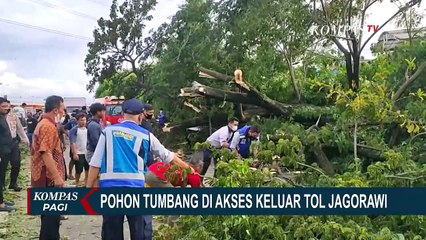 Pohon Tumbang di Tol Jagorawi Cawang Timpa Mobil Biro Perjalanan dari Bandung