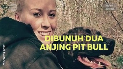 Kompak (Episod 189): Dibunuh dua anjing pit bull