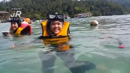 #AWANIJr: Kenali Pulau Sapi