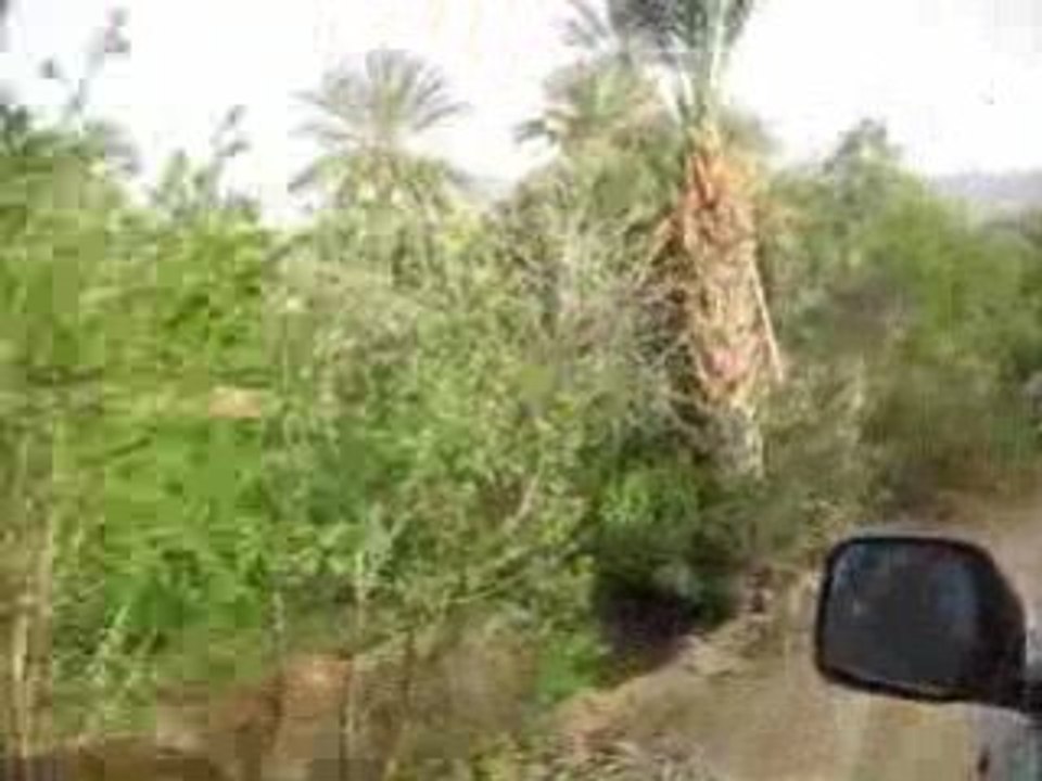 oasis