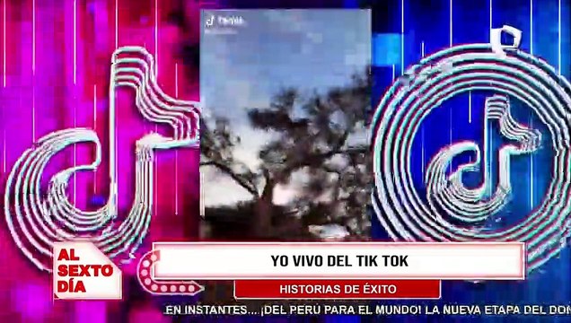 Historias de éxito: ¿Se puede vivir del Tik Tok?