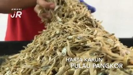 #AWANIJr: Harta Karun Pulau Pangkor