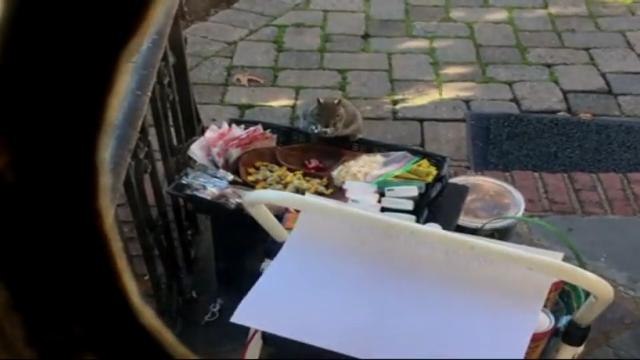 Kompak (Episod 164): Tupai curi hadiah Krismas