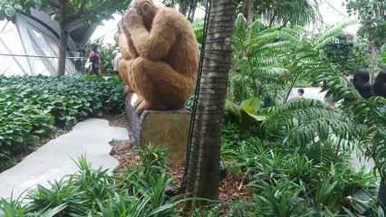 Jewel  canopy park changi airport