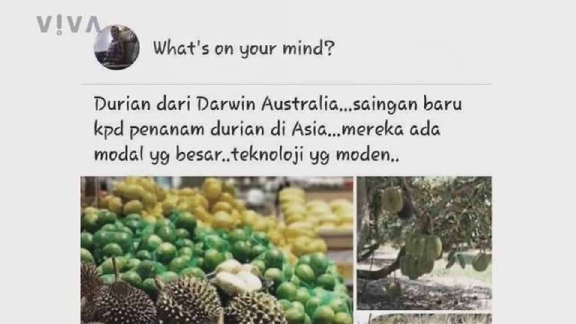 ⁣V!VA: Durian Diplomacy and Proton