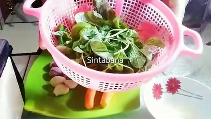 Sayur bayam yang disuka anak anak