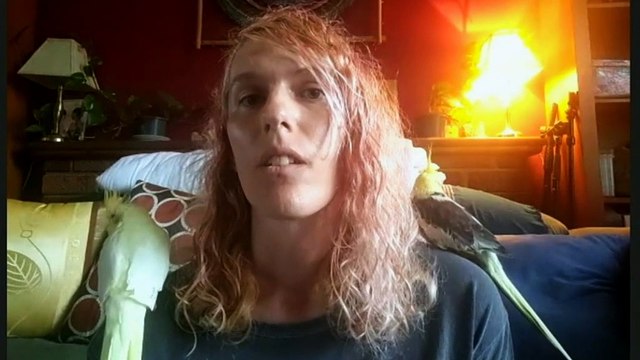 Lismore residents recued from rooftop as waters rise in northern NSW