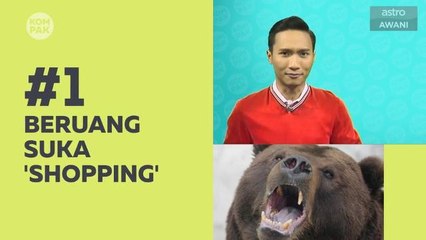 Kompak (Episod 140): Beruang pun suka 'shopping'