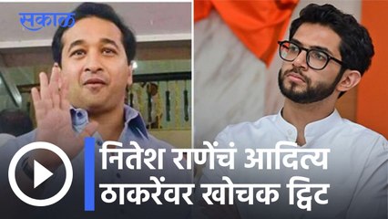 Nitesh Rane on Aditya Thackeray l नितेश राणेंचं आदित्य ठाकरेंवर खोचक ट्विट l Sakal