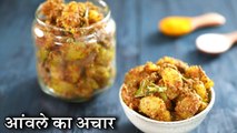 Instant Amla Achar Recipe In Hindi | आंवले का अचार | Gooseberry Pickle | Amla Pickle | Chef Kapil